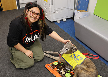 Pets As Therapy, this image links to the news item