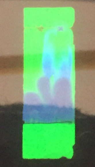 Under UV light, you can see clearly George’s TLC chromatogram