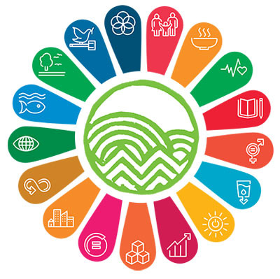 Become a Sustainability Student Rep