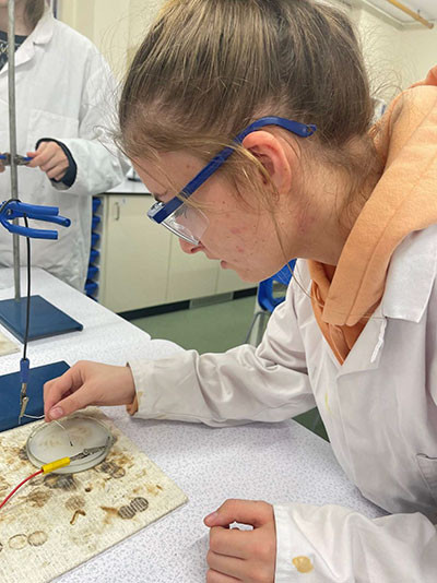 Dasara ensures that the paper clip just touches the surface of the ammoniacal silver nitrate in the petri dish. This enabled her and Oumou to produce the excellent silver fractals in the above picture.