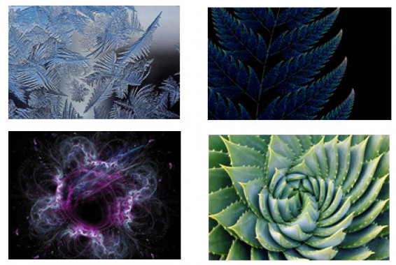 Ice crystals, leaf formation, star formation, aloe vera leaves
