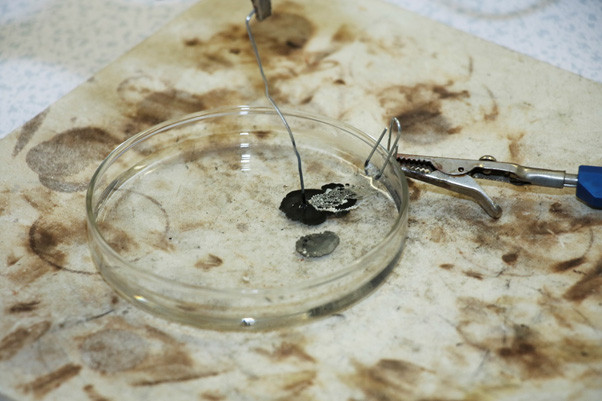 Here the fractals have been left for a while. You can see how the silver formation migrates from one electrode (negative on the left-hand paperclip) to another (positive on the right-hand paperclip attached to the side of the Petri dish)