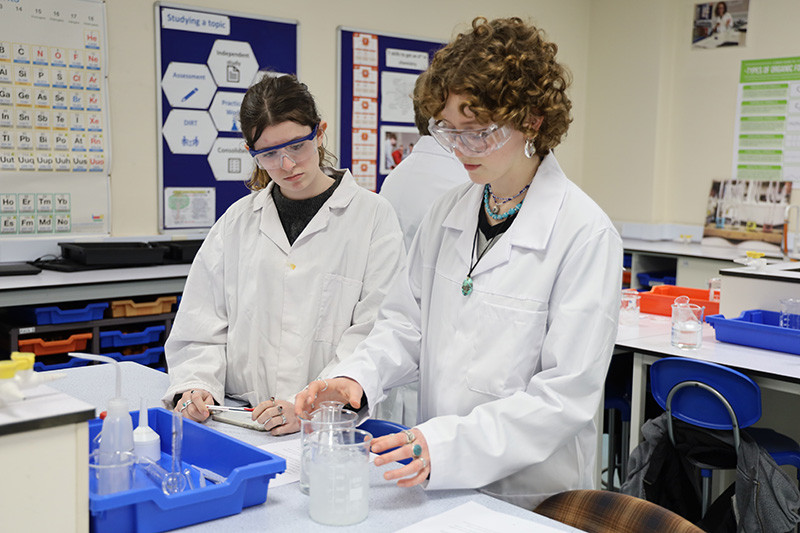Izzy and Sylvie cool down their reaction mixture to control the rate of crystal formation.