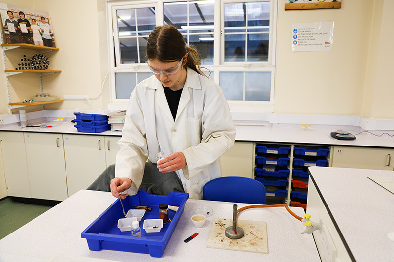 Bea adds the sodium carbonate which catalyses the reaction at the lower temperature of a Bunsen burner compared to an actual blast furnace