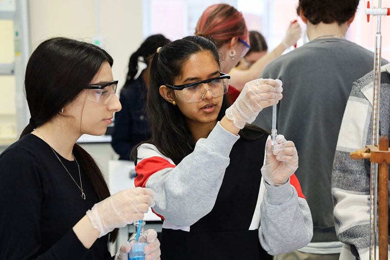 Hana and Mahe discuss which amino acid they are about to test prior to chromatographic analysis